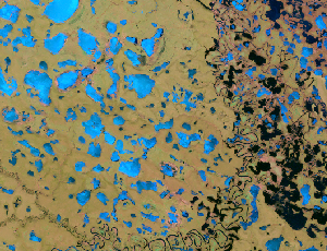 Filled dropped lines Filled dropped lines